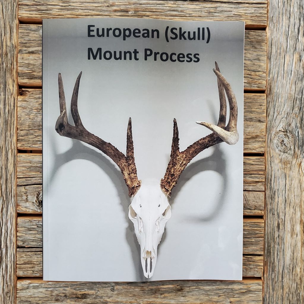 European (Skull) Mount Process