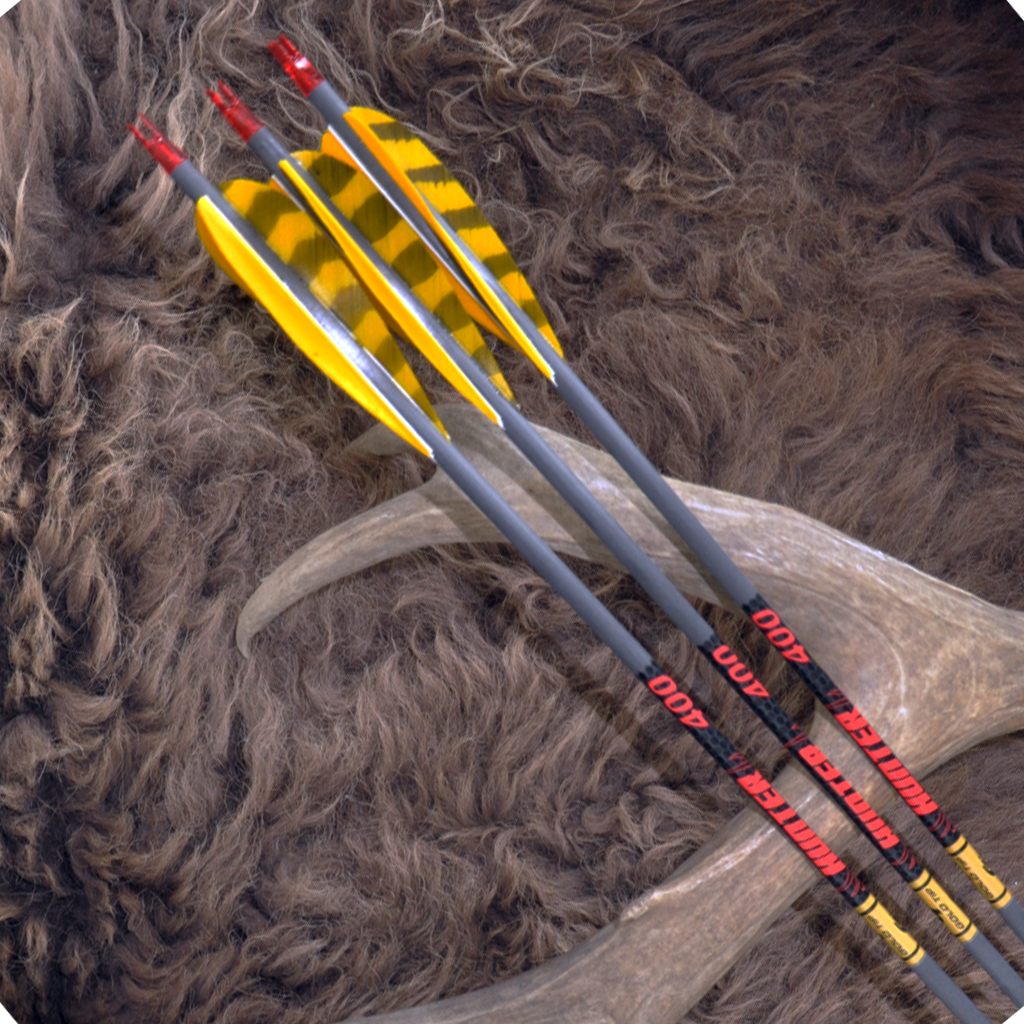 Gold Tip Hunter Arrows